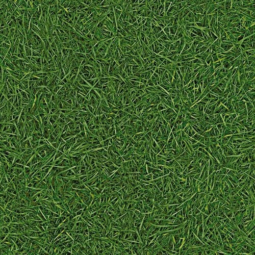 Линолеум IVC NEO Grass 025