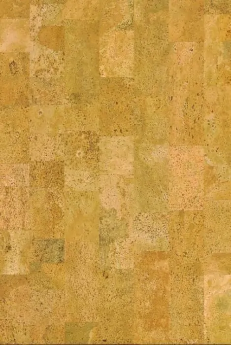 Пробковое покрытие Wicanders Cork Go Desire