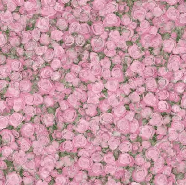 Линолеум Tarkett Fleur ROSE 2