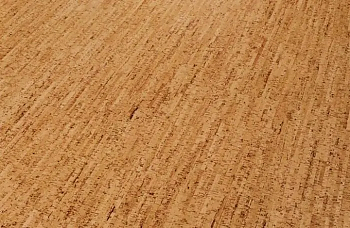 Пробковое покрытие Wicanders Cork Essence Originals Character
