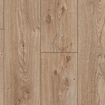 Ламинат Kastamonu Floorpan Blue Дуб палермо классический (Oak Palermo Classic)